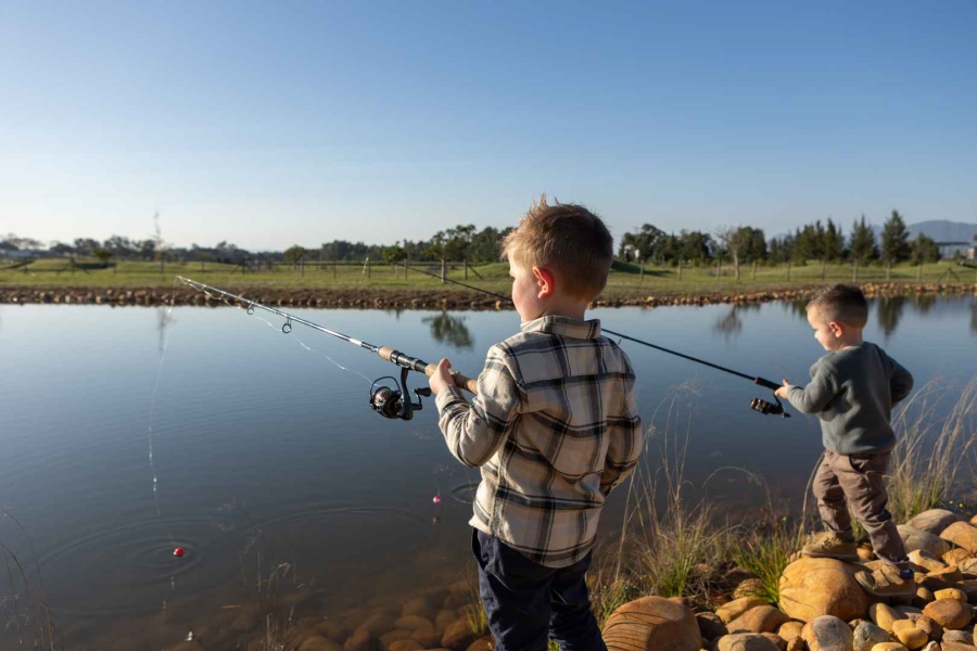 0 Bedroom Property for Sale in Paarl Valleij Lifestyle Estate Western Cape